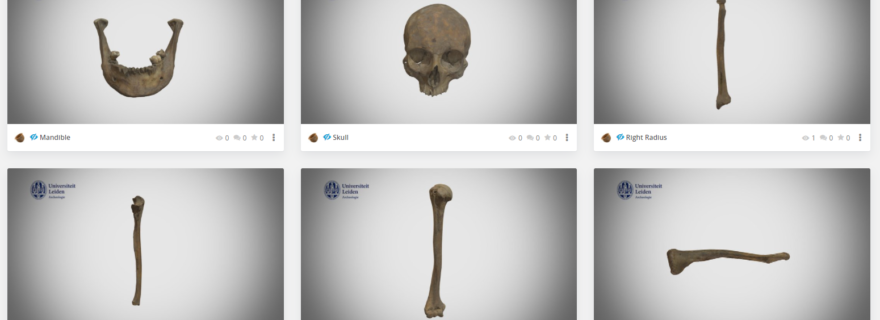 Bones on Demand: Using 3D models in archaeological teaching and learning